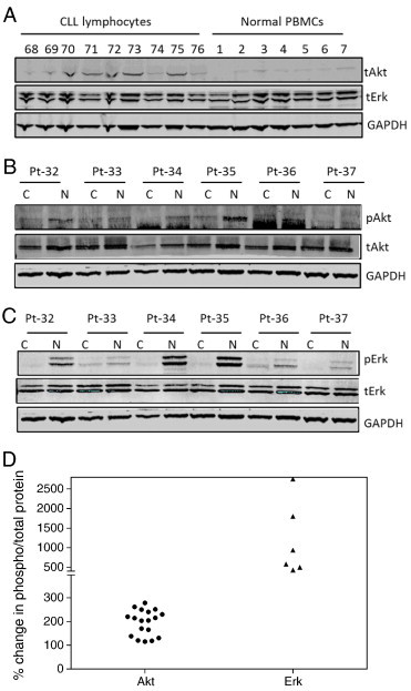 Figure 5