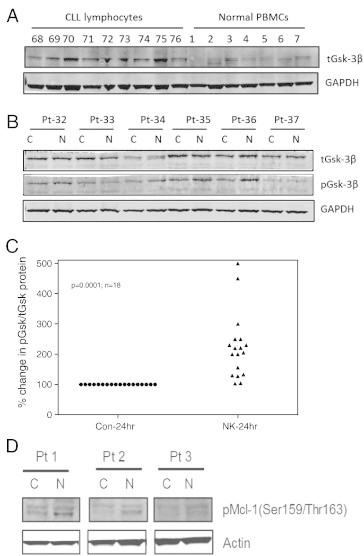 Figure 6