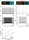 Fig 3
