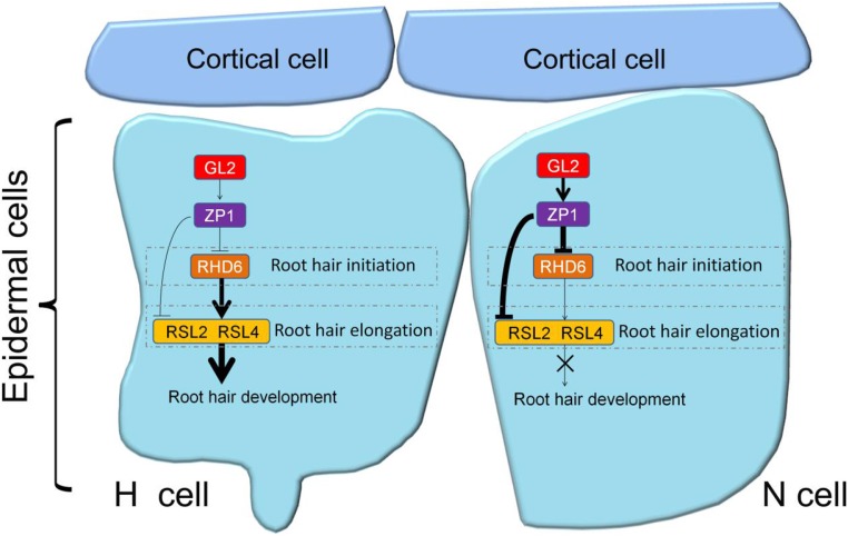 Figure 10.