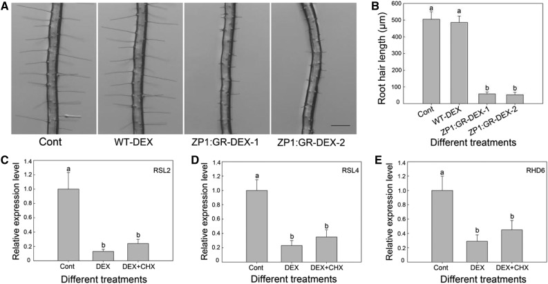 Figure 6.