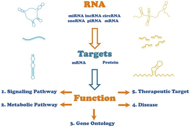 Graphical Abstract