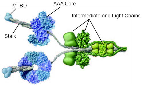 FIG. 1