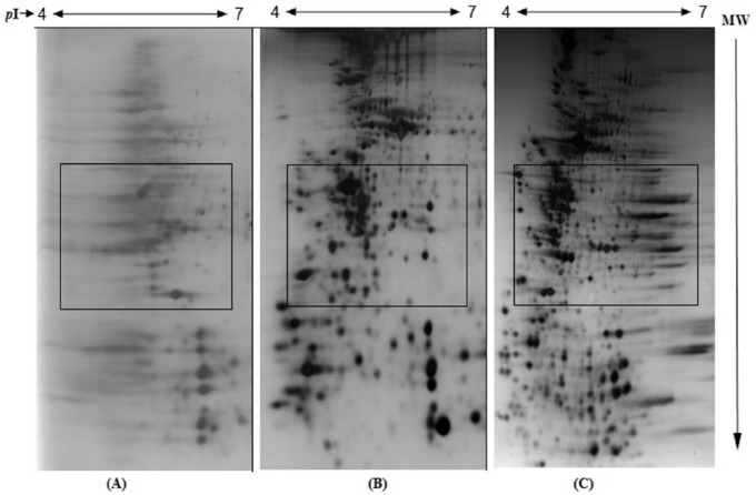 Figure 3.