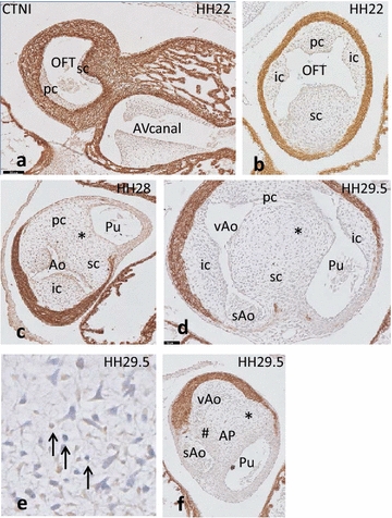 Fig. 4