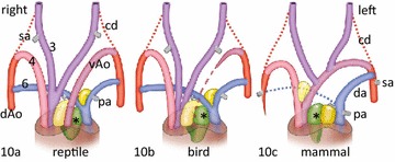 Fig. 10