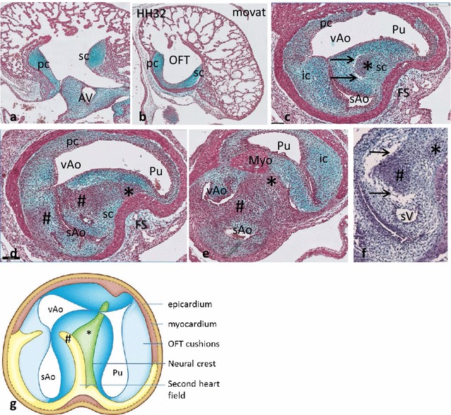 Fig. 8