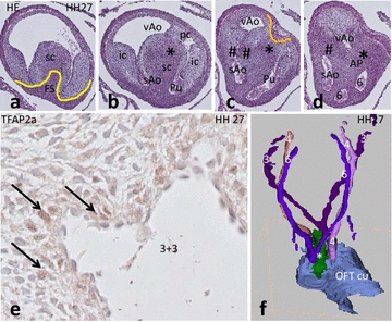 Fig. 7