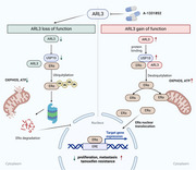 graphic file with name ADVS-12-e09769-g005.jpg