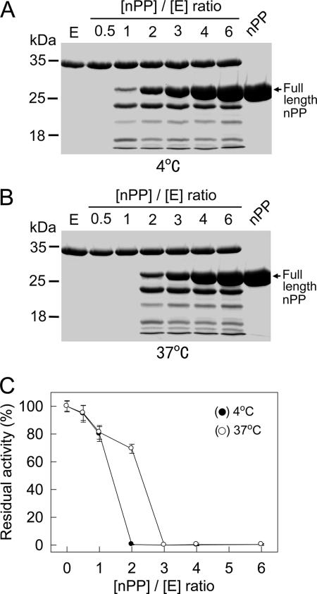 FIG. 6.