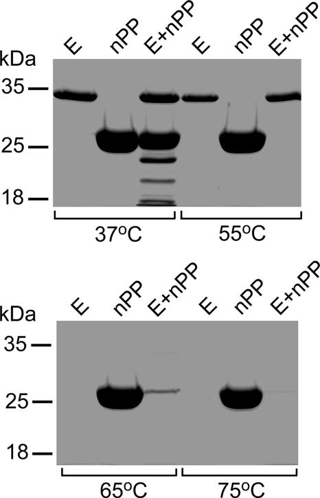 FIG. 8.