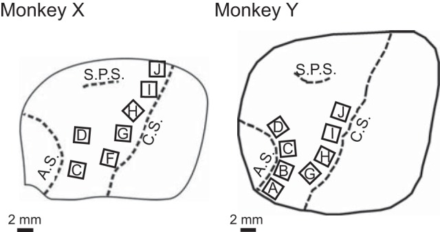 Fig. 2.