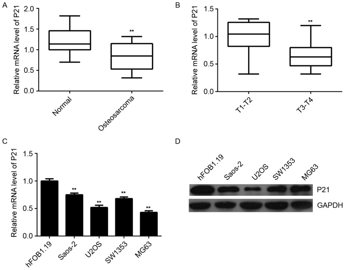 Figure 6.