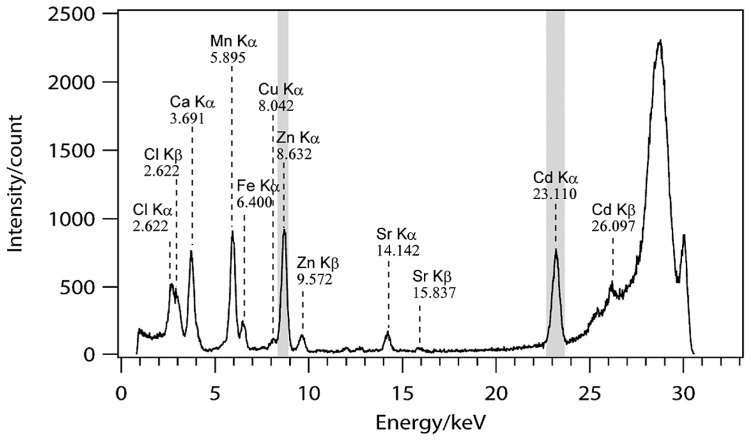 Fig. 2