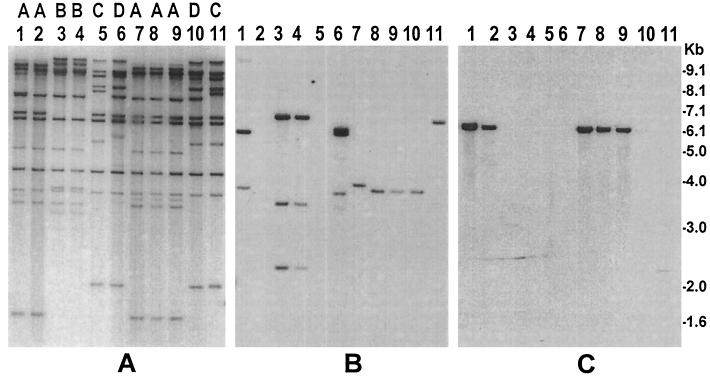 FIG. 2.