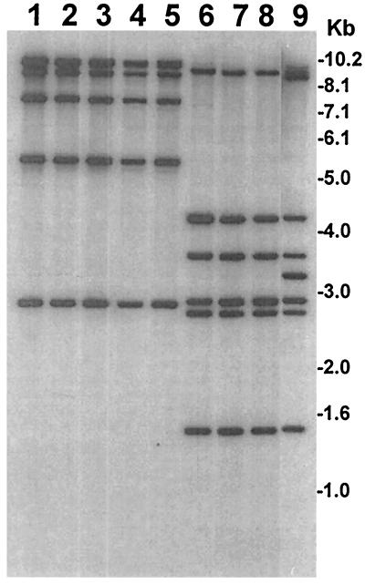 FIG. 3.