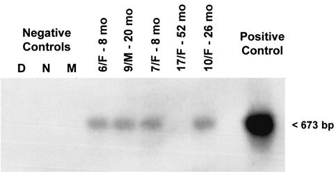 FIG. 6.