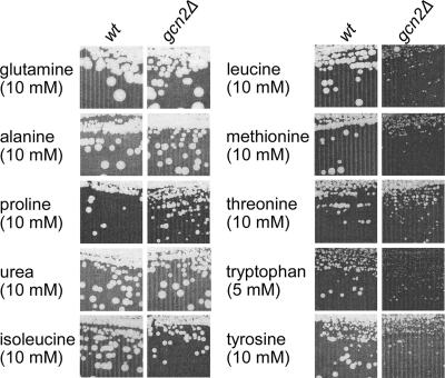 FIG. 6.