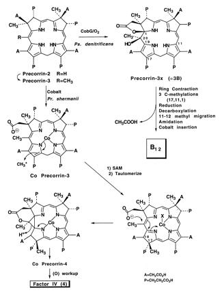 Scheme I