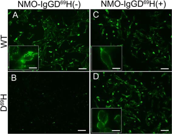 FIGURE 7.