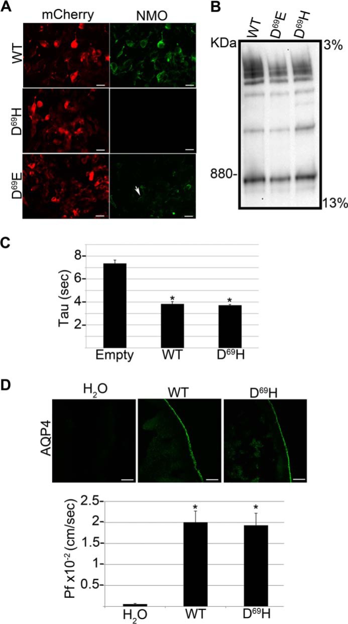 FIGURE 4.