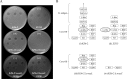 FIG 8