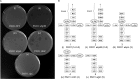 FIG 6
