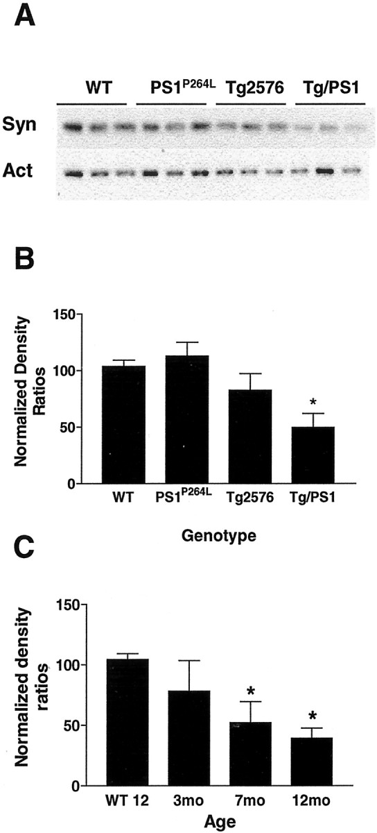 Fig. 11.