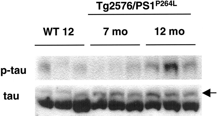 Fig. 9.