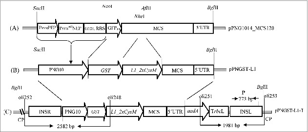 Figure 1.