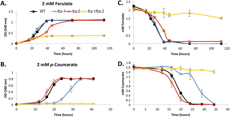 FIG 3