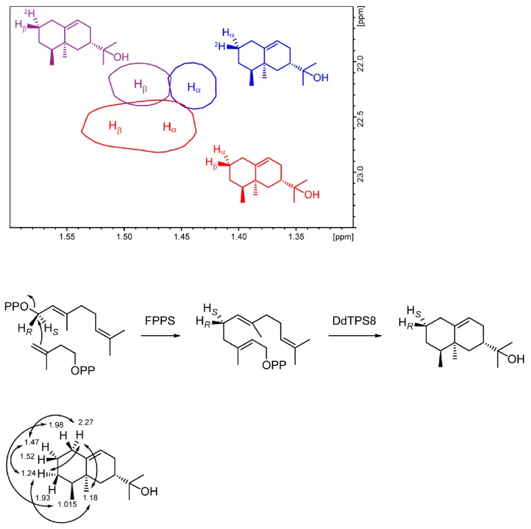 Figure 1—figure supplement 1.