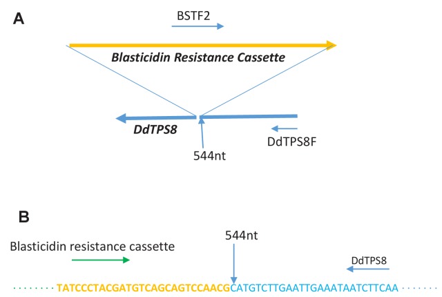 Figure 2—figure supplement 1.