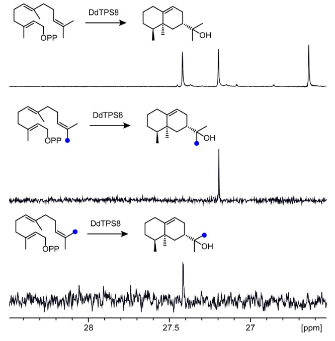 Figure 1—figure supplement 4.