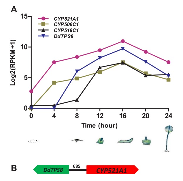 Figure 3.