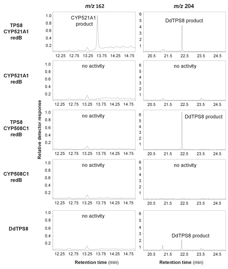 Figure 4—figure supplement 1.