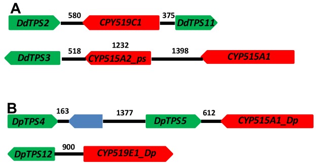 Figure 7.