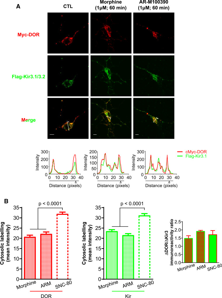 Fig. 2