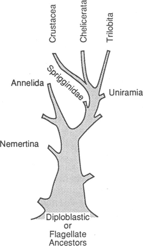 graphic file with name pnas00247-0160-a.jpg