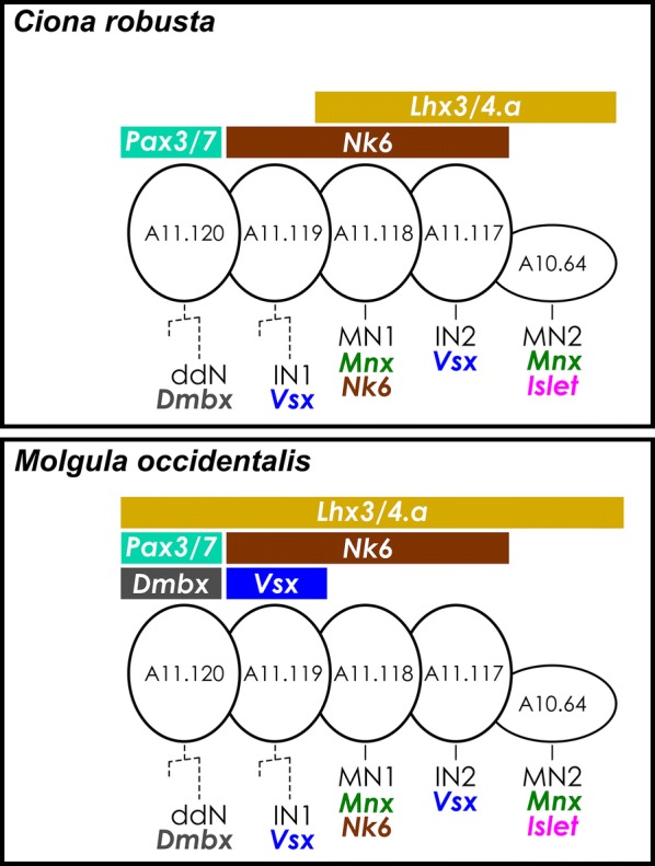 Fig. 8