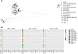Figure 2. Modulation of circulating immune effectors with denosumab treatment. A, Scaffold map of significant changes in the frequency of lymphocyte cell subsets. Clusters are shown comparing pretreatment TP1 (n = 16) with TP4 (n = 7). Scaffold was used to analyze PBMC data obtained from CyTOF. B, Heat maps summarizing log2 fold changes from statistical analysis of functional markers CD137, CD27, CD40, CD40L, CD71, CD95, CTLA-4, HLA-DR, ICOS, Ki-67, NKG2D, OX40, PD-1, PD-L1, PD-L2, TIGIT, and TIM3 when comparing pretreatment time point TP1 (n = 16) with TP3 (n = 14) and TP4 (n = 7). Each box in the heat map represents a lymphocyte cluster that was labeled according to the nearest landmark node they connect to on the scaffold map and ordered by cell count abundance. The pseudocolor represents clusters that showed a significant difference (q < 0.05) in the log2 fold change, with red being significantly higher, while blue being significantly lower in group 2 of the two comparison groups.