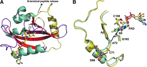 FIG. 3.