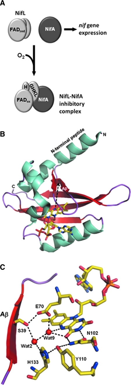 FIG. 4.