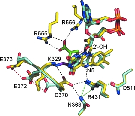 FIG. 8.