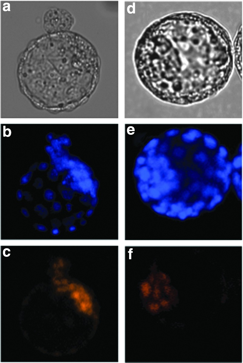 FIG. 7.