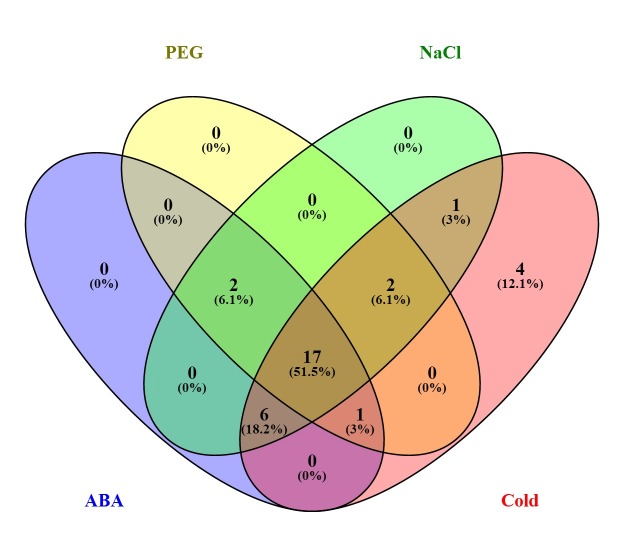 Fig 5