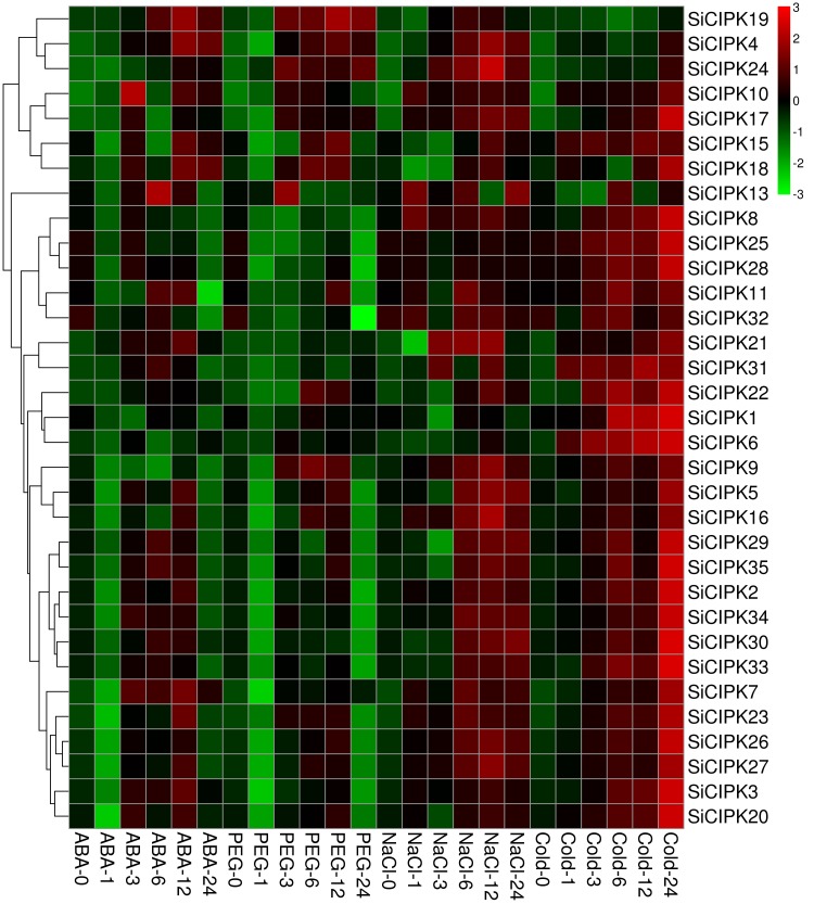 Fig 6