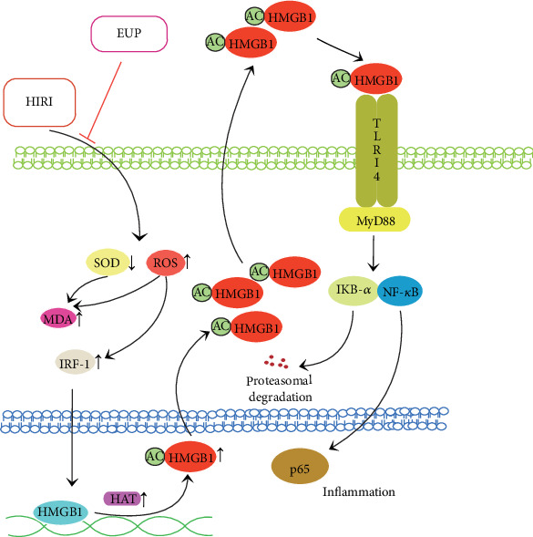 Figure 10