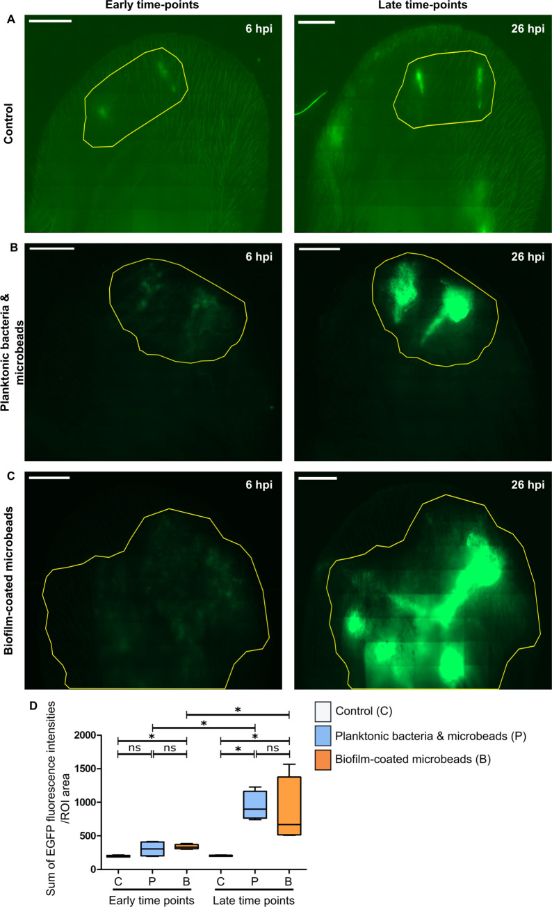 Fig 4