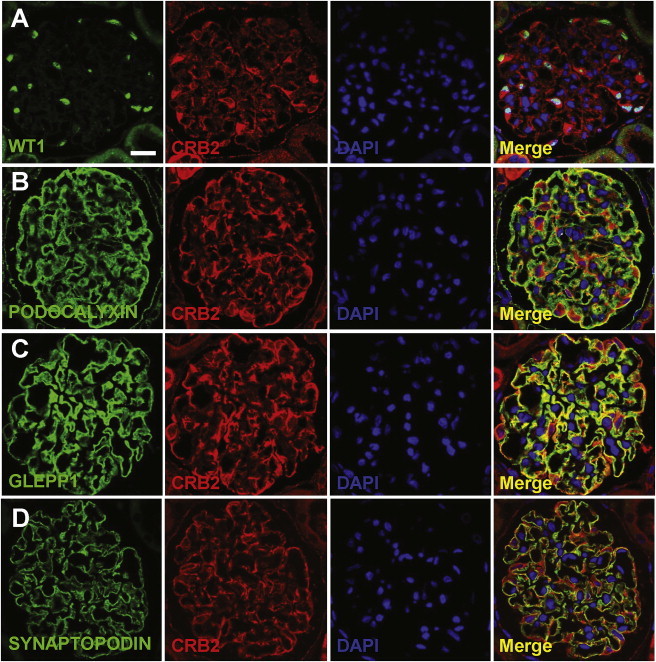 Figure 2